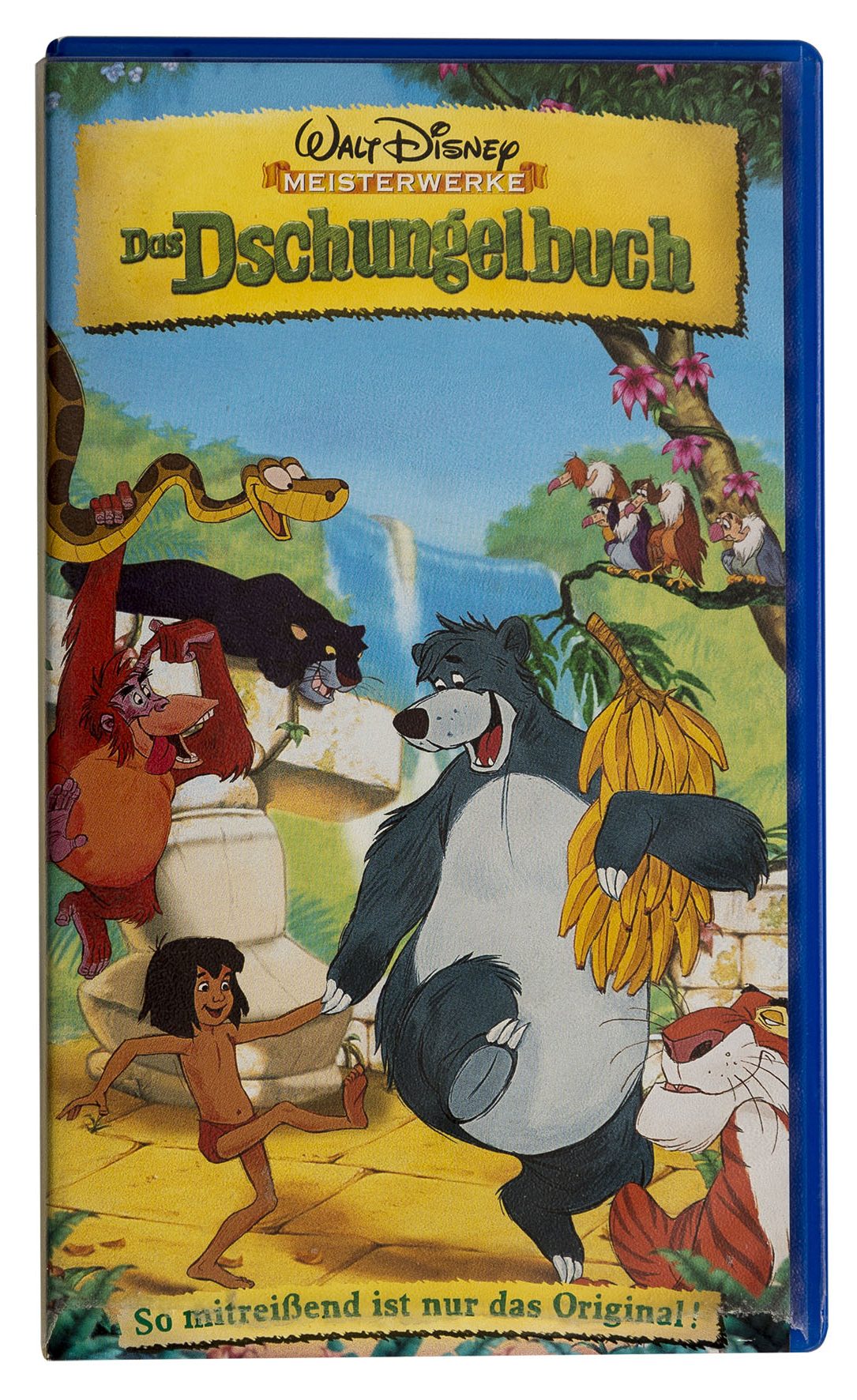 11_03_Dschungel