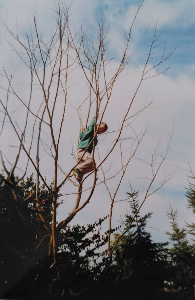 Baum-klettern