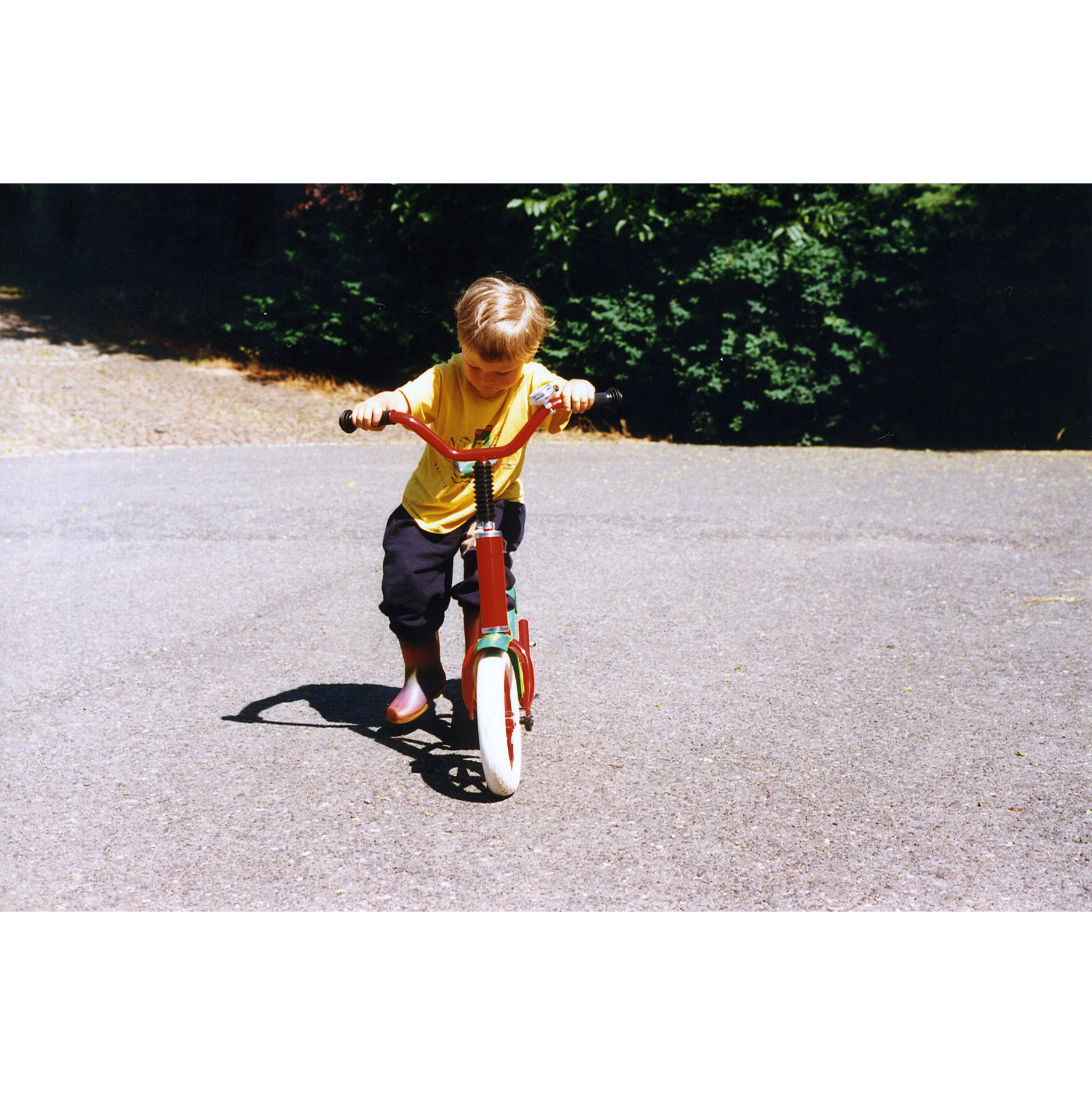 Roller_Max_Kapitel5